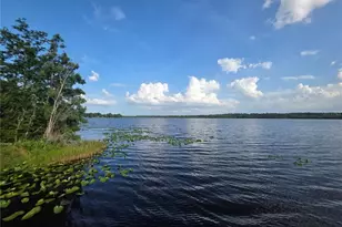 1724 SE 164th Cir, Ocklawaha, FL 32179 - Photo 53