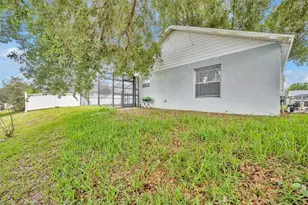 3144 Ibis Hill St, Clermont, FL 34714 - Photo 41