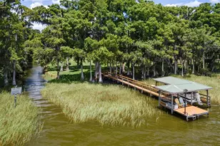 29205 S Corley Island Rd, Leesburg, FL 34748 - Photo 3