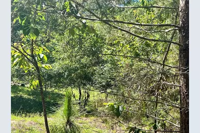 Se 152nd - Parcel B & C, Lots 16, 17 Place, Altoona, FL 32702 - Photo 25