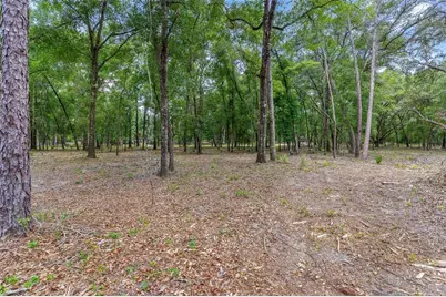 Se 152nd - Parcel B & C, Lots 16, 17 Place, Altoona, FL 32702 - Photo 15