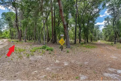 Se 152nd - Parcel B & C, Lots 16, 17 Place, Altoona, FL 32702 - Photo 13