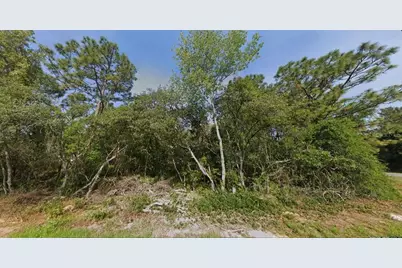 Sw 133 Loop, Ocala, FL 34473 - Photo 3