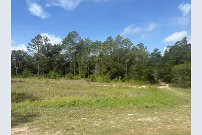 Tbd SW 152 Court, Ocala, FL 34481 - Photo 1