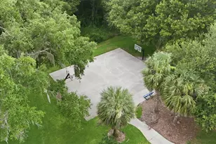 424 Misty Oaks Ln, Eustis, FL 32736 - Photo 57