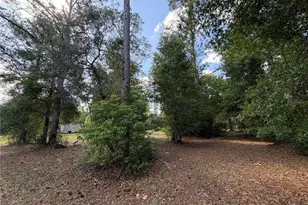 30842 Round Lake Rd, Mount Dora, FL 32757 - Photo 9