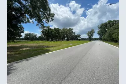 1080 Duck Box Road, Umatilla, FL 32784 - Photo 3