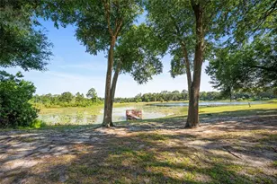 16684 SE 54th St, Ocklawaha, FL 32179 - Photo 65