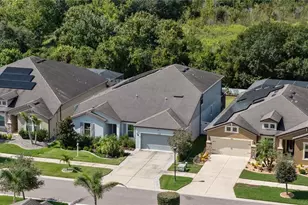 11608 Dublin Grafton Dr, Riverview, FL 33579 - Photo 73