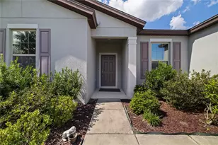 11608 Dublin Grafton Dr, Riverview, FL 33579 - Photo 9