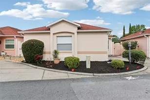 914 Mendoza Blvd, Lady Lake, FL 32159 - Photo 29