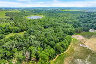23449 Thomas Allen Rd, Howey in the Hills, FL 34737 - Photo 5