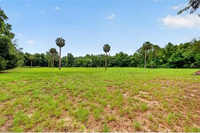 Kilker Road, Paisley, FL 32767 - Photo 9