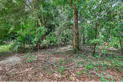 Kilker Road, Paisley, FL 32767 - Photo 5