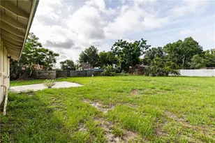 7020 Scott Ave, Mount Dora, FL 32757 - Photo 17