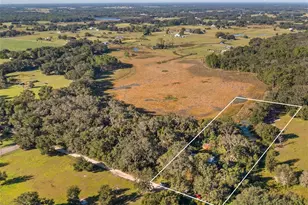 23158 Loop Rd, Groveland, FL 34736 - Photo 19