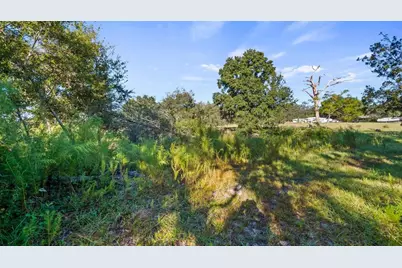23158 Loop Road, Groveland, FL 34736 - Photo 21