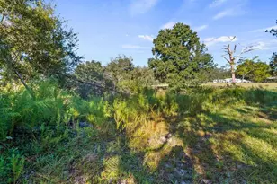 23158 Loop Rd, Groveland, FL 34736 - Photo 21