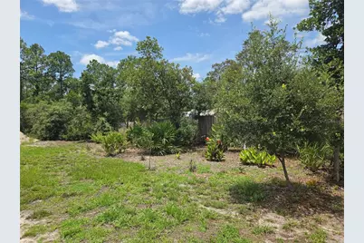 30658 East Bluebell Ave, Eustis, FL 32736 - Photo 37