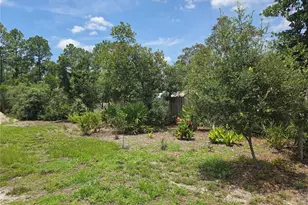 30658 E Bluebell Ave, Eustis, FL 32736 - Photo 37