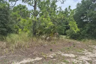 1626 S US 301, Sumterville, FL 33585 - Photo 1