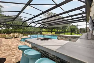 5006 Rishley Run Way, Mount Dora, FL 32757 - Photo 11
