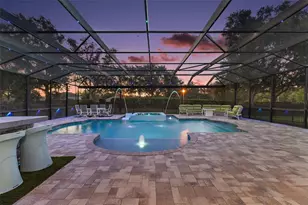 5006 Rishley Run Way, Mount Dora, FL 32757 - Photo 17