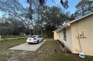 40233 Palm St, Lady Lake, FL 32159 - Photo 3