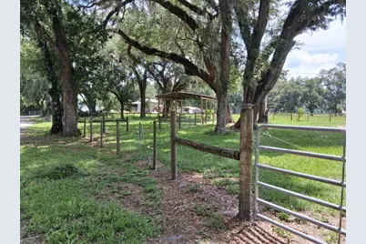 10628 Cr 771, Webster, FL 33597 - Photo 17