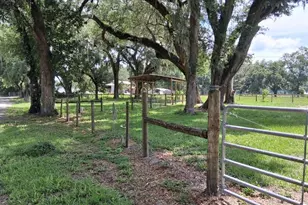 10628 Cr 771, Webster, FL 33597 - Photo 17
