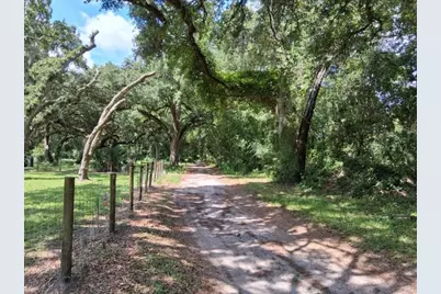 10628 Cr 771, Webster, FL 33597 - Photo 21