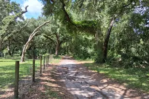 10628 Cr 771, Webster, FL 33597 - Photo 21