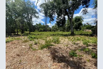 County Road 42, Umatilla, FL 32784 - Photo 3