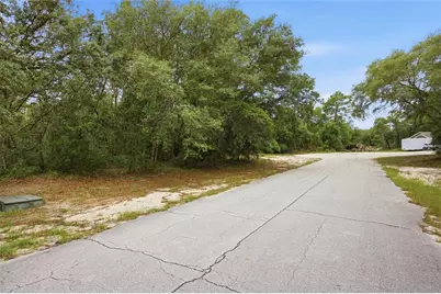 000 SW 172nd Loop, Ocala, FL 34473 - Photo 3
