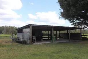 7083 Tall Pine Rd, Polk City, FL 33868 - Photo 19
