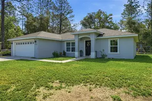 9195 N Saponaria Dr, Citrus Springs, FL 34433 - Photo 3