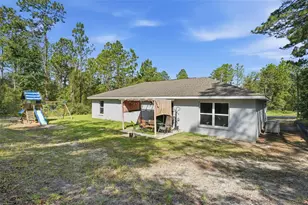 9195 N Saponaria Dr, Citrus Springs, FL 34433 - Photo 31