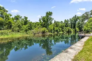 35505 Crescent Dr, Fruitland Park, FL 34731 - Photo 39