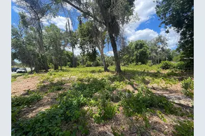 County Road 42, Umatilla, FL 32784 - Photo 1