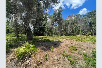 County Road 42, Umatilla, FL 32784 - Photo 3