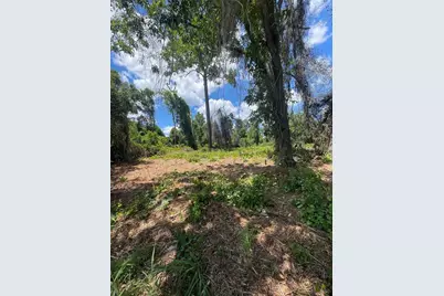 County Road 42, Umatilla, FL 32784 - Photo 3