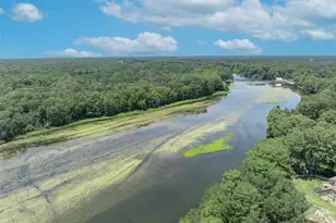 4885 Cr 307, Lake Panasoffkee, FL 33538 - Photo 87
