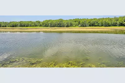 4885 Cr 307, Lake Panasoffkee, FL 33538 - Photo 57