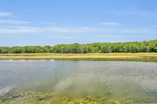 4885 Cr 307, Lake Panasoffkee, FL 33538 - Photo 57