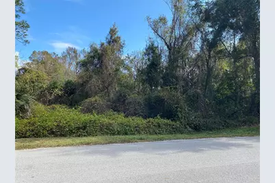 31004 Secretariat Trail, Leesburg, FL 34748 - Photo 3