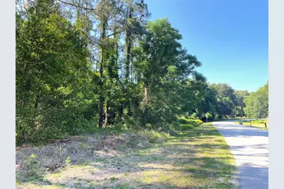 31004 Secretariat Trail, Leesburg, FL 34748 - Photo 9