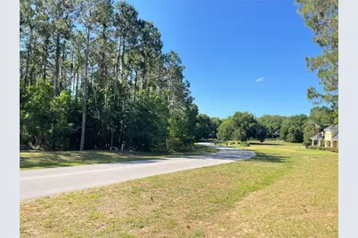 31004 Secretariat Trail, Leesburg, FL 34748 - Photo 7