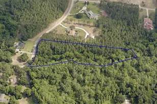 31004 Secretariat Trail, Leesburg, FL 34748 - Photo 1