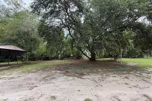 110 N Volusia Ave, Pierson, FL 32180 - Photo 33