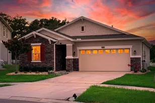 6015 Nightjar Ct, Okahumpka, FL 34762 - Photo 3